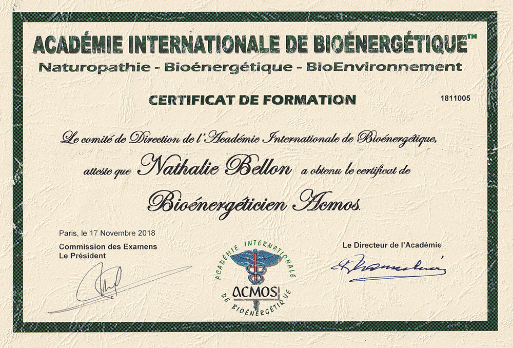 DIPLOME de formation QUANTICSCAN  délivré par  YANNICK VERITE